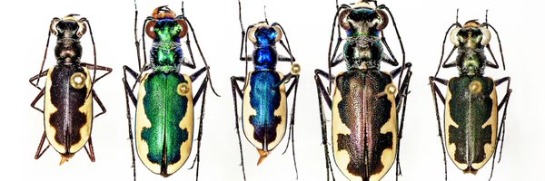 scottpegan Profile Banner