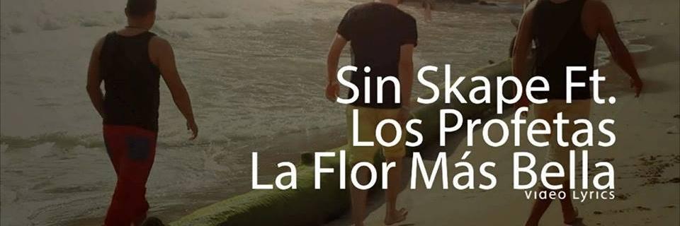 sinskape's profile banner image