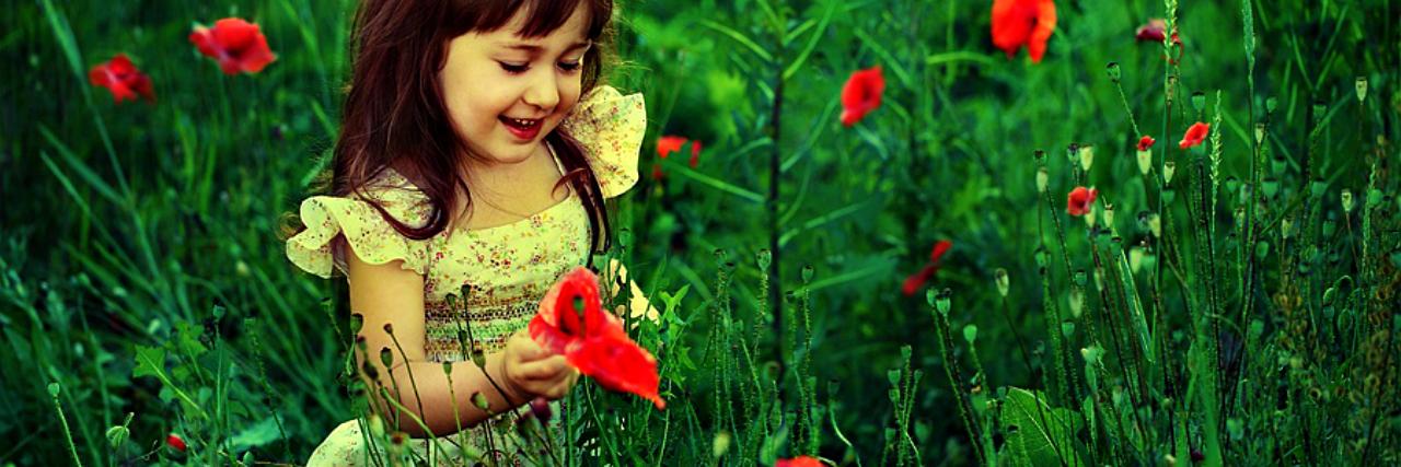 RosasFlorist's profile banner image