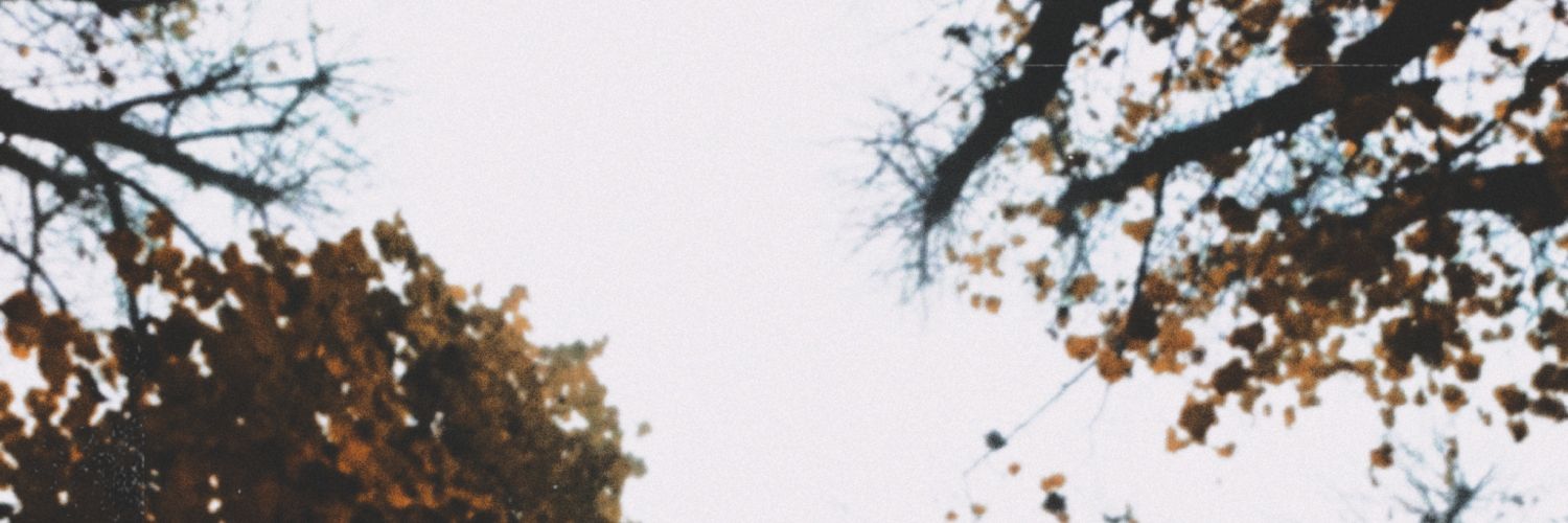 Condor_98's profile banner image