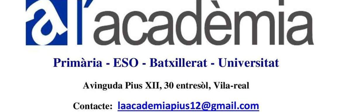 AcademiaPio12's profile banner image