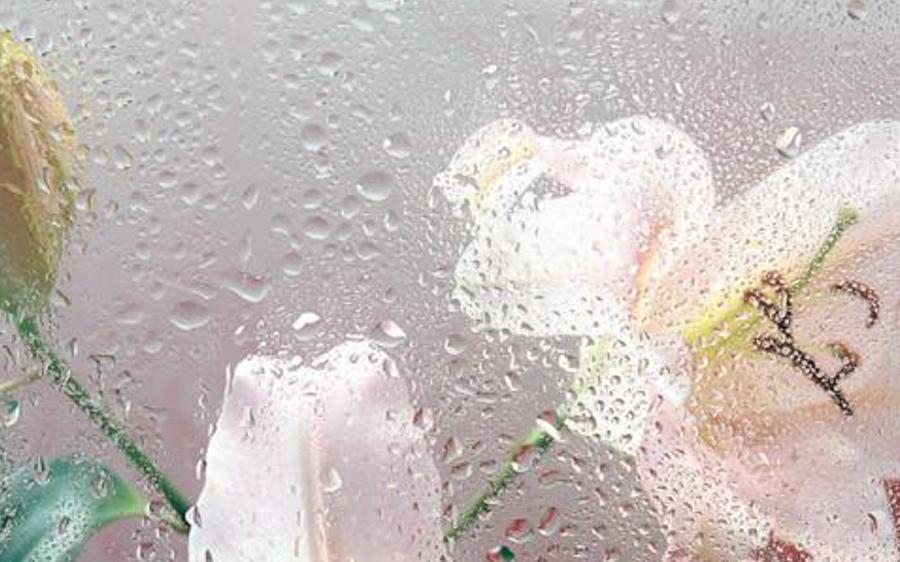 aneriter's profile banner image