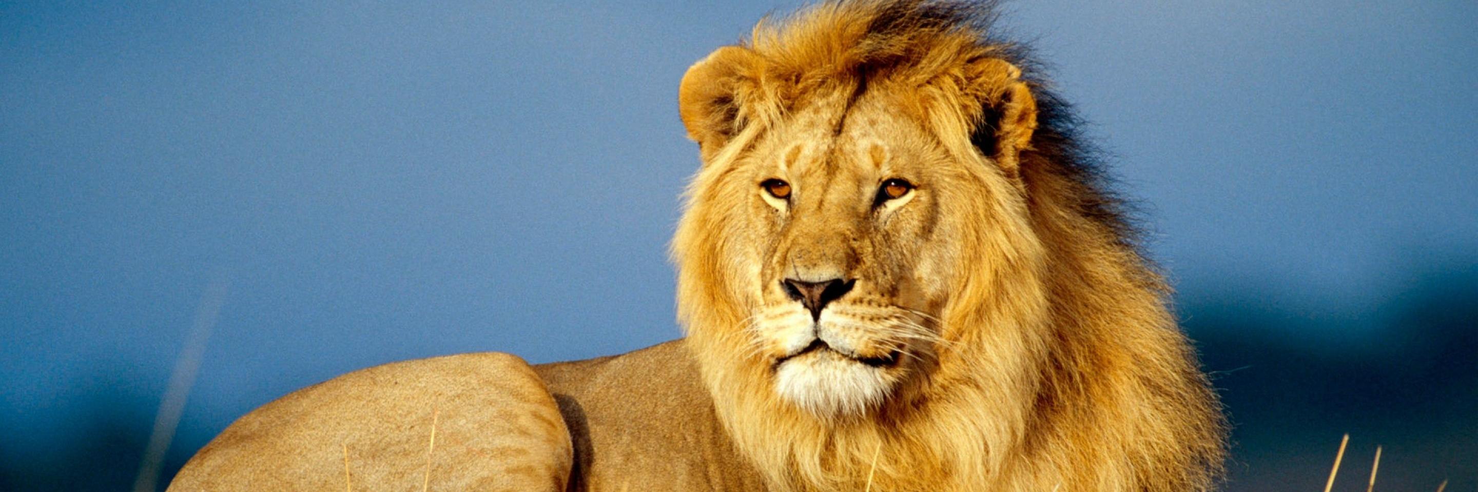 marleyhouse1's profile banner image