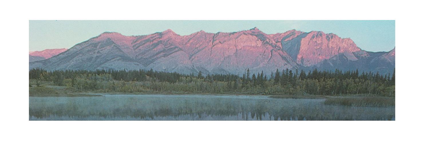 crbgdrofficial's profile banner image