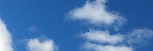 diptonmillinn Profile Banner