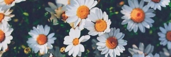 GValentinaxxx Profile Banner