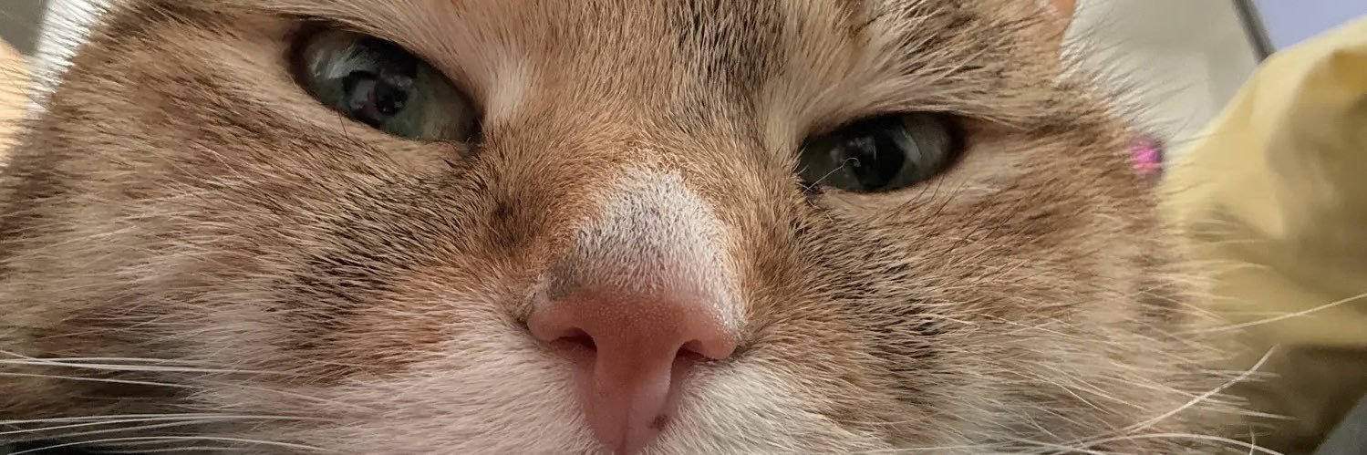 Bob Loblaw’s Law Blog banner