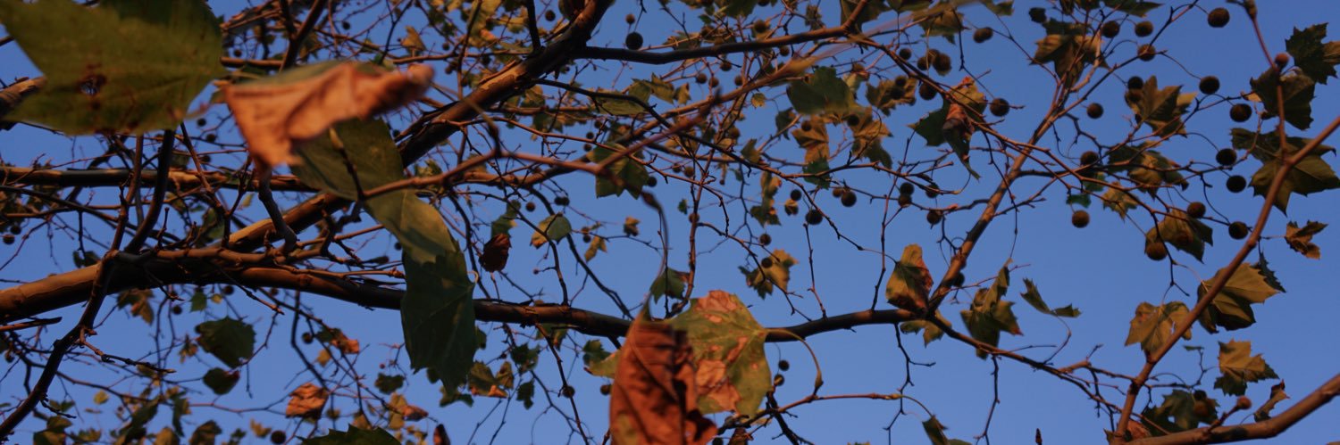 wellrooo's profile banner image