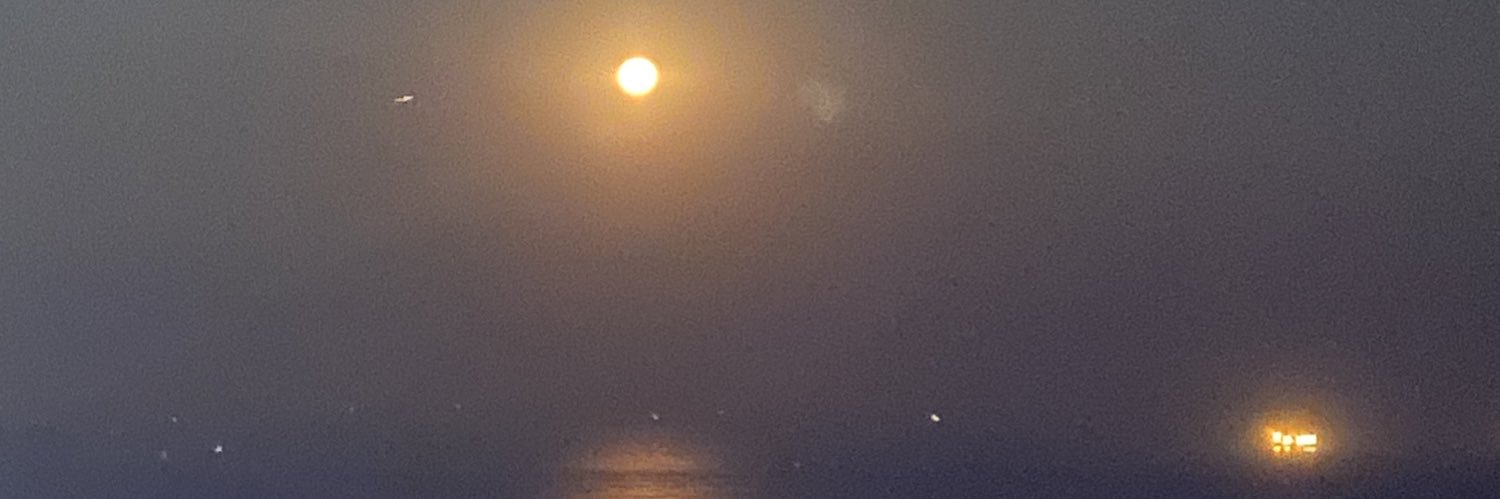 rebeca banner