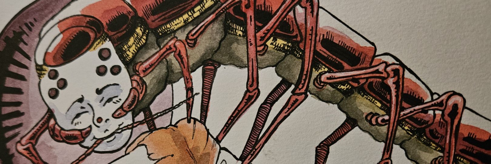 Marquis de Marq banner