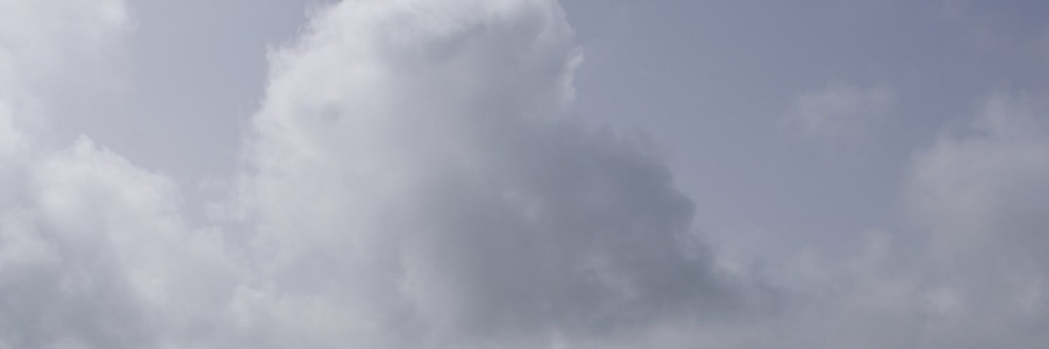 Daniel banner