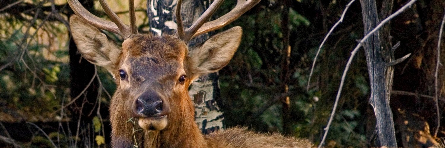 USGSCoopUntis's profile banner image