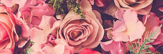 _zloan's profile banner image
