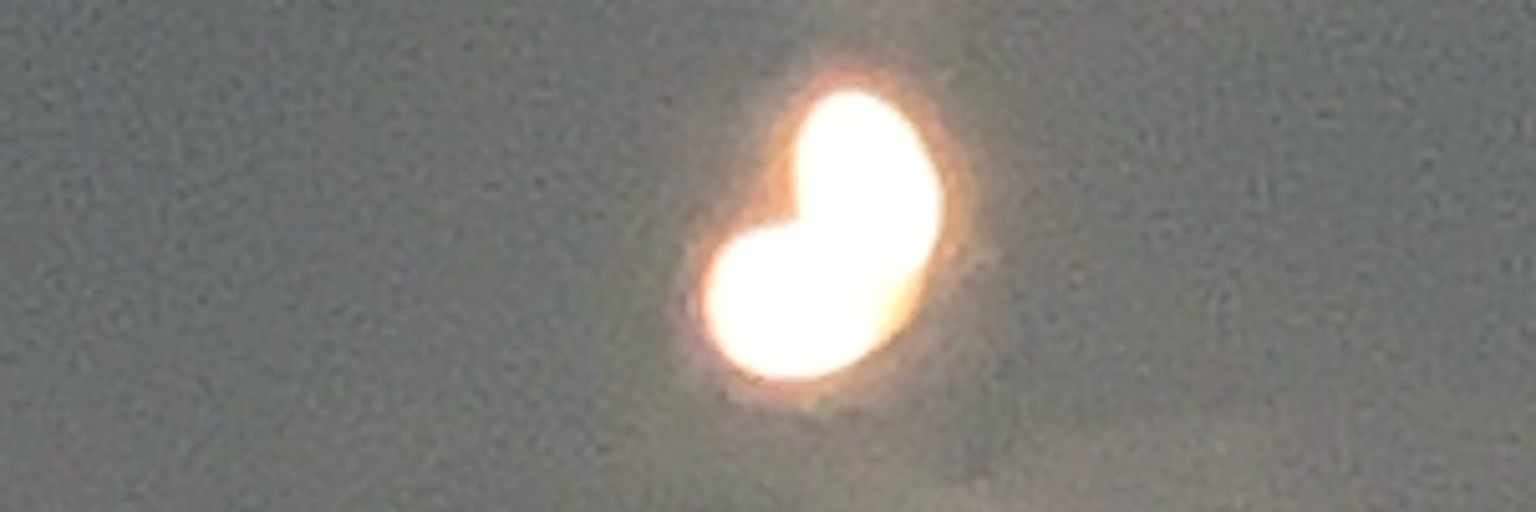 DI. banner