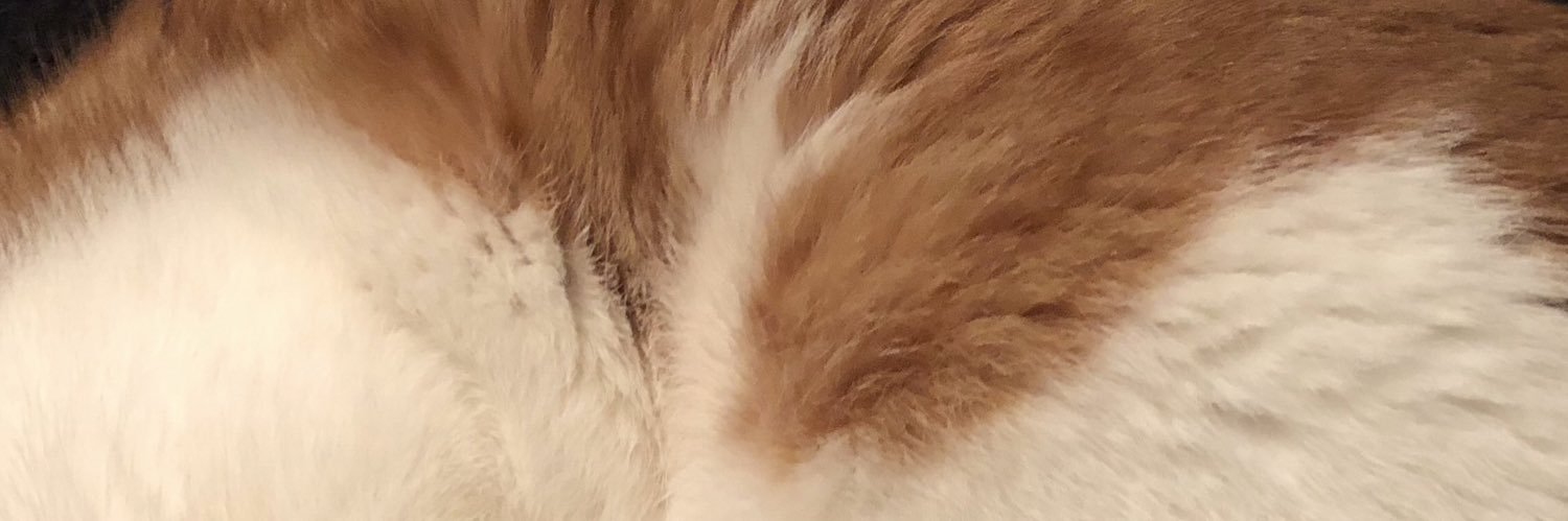 matcha_maa's profile banner image