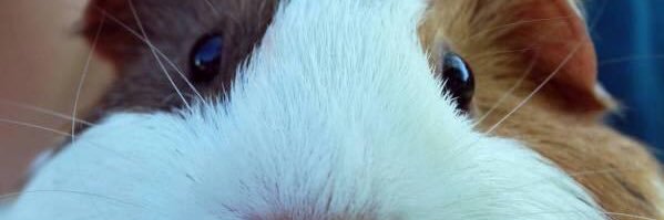 DhioBE's profile banner image
