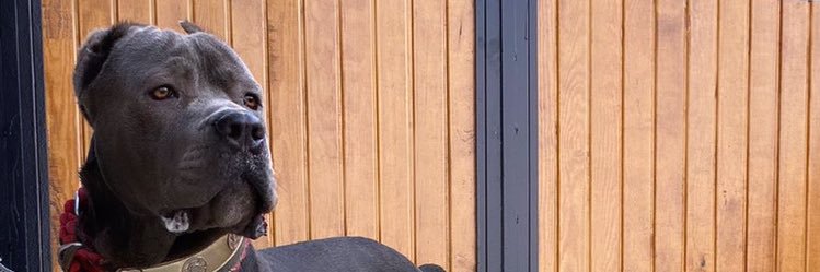 omerkirannn's profile banner image