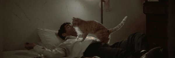 PutneySwope666 Profile Banner