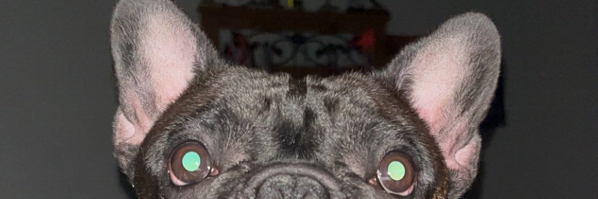 Eluna424's profile banner image