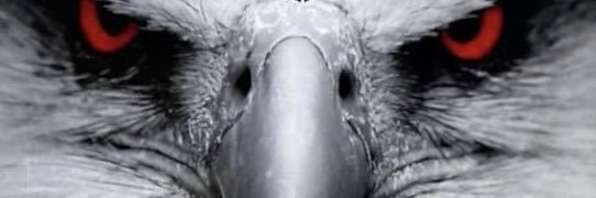 Del City Track/XC banner