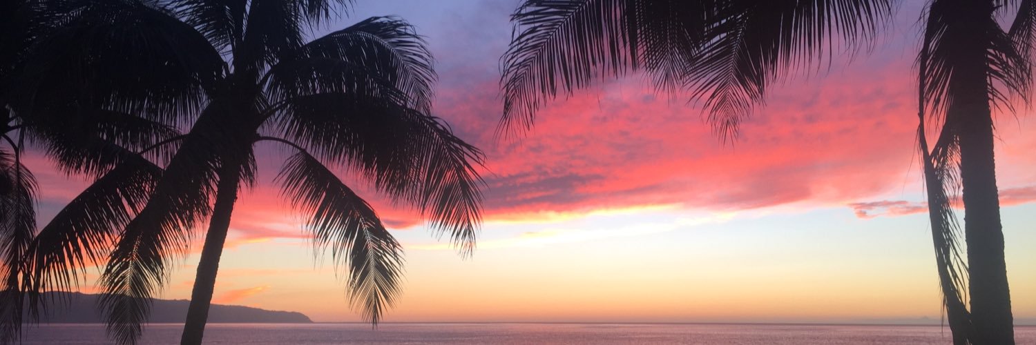allydadams's profile banner image