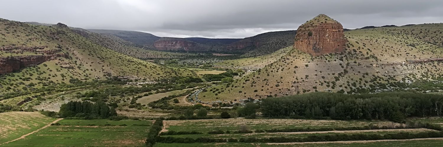 thandirhode's profile banner image
