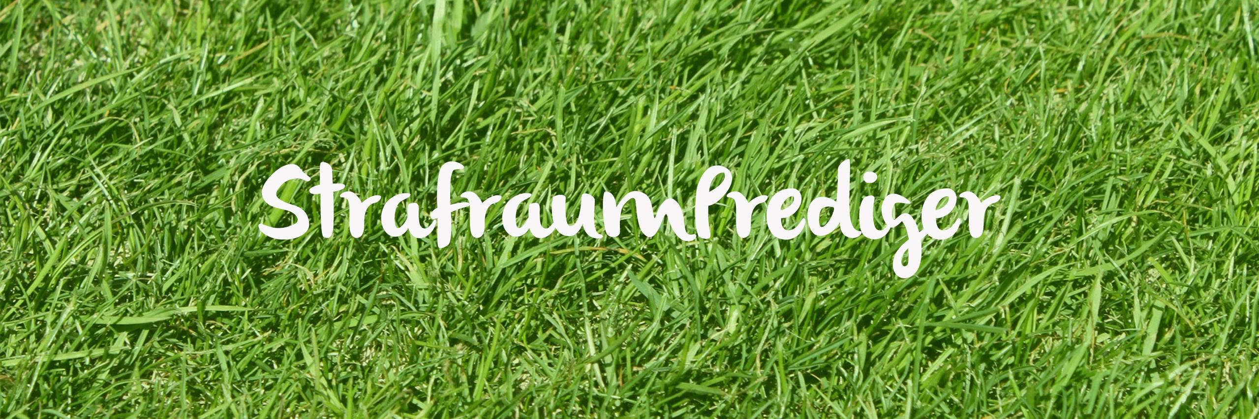StrafraumP's profile banner image
