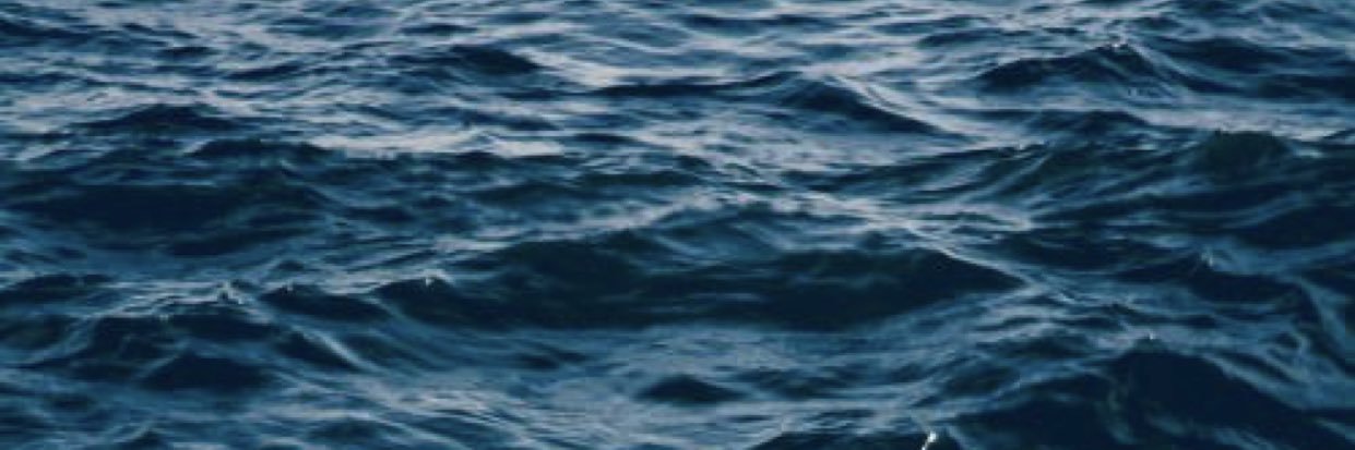 Linagamal312's profile banner image
