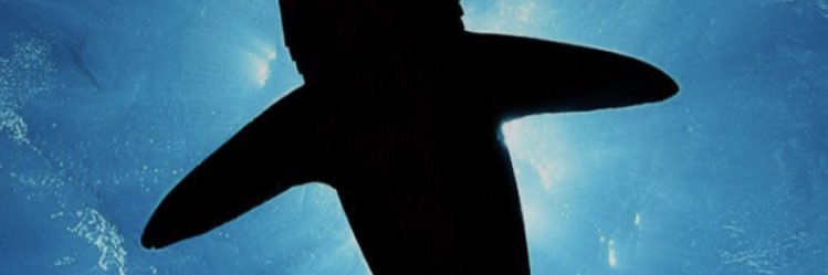 cooper_sande's profile banner image