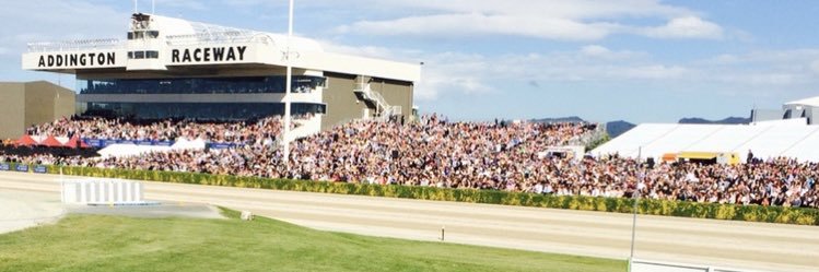 Adam Hamilton banner