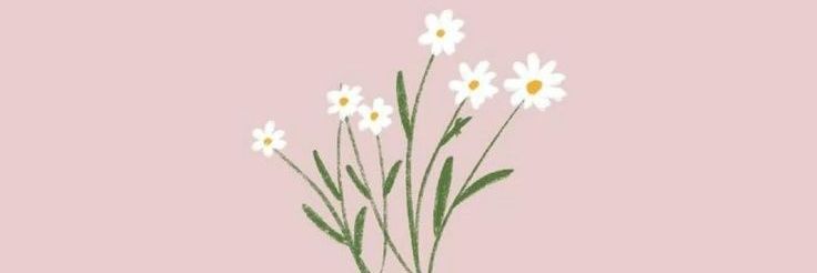 noeliaggr98's profile banner image