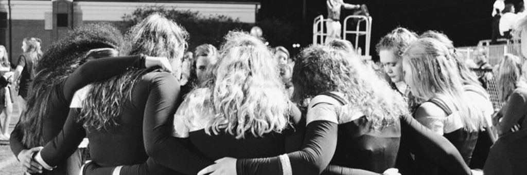 Smiths Pantherettes banner