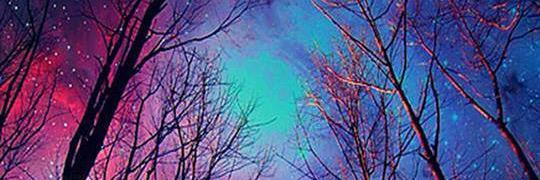 jenniferluomala's profile banner image