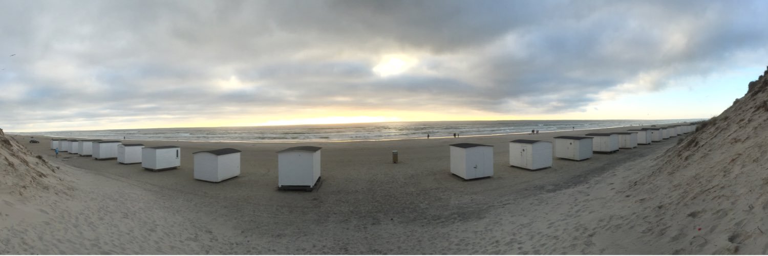 Anders H. Riis banner