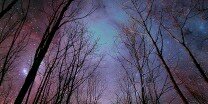 Reiina_21's profile banner image