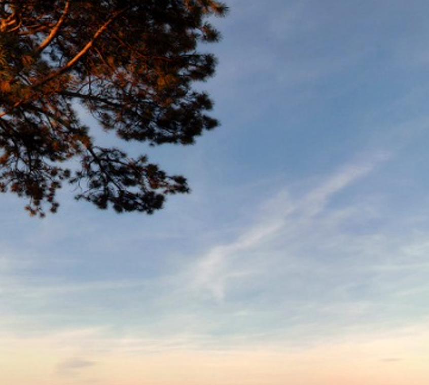 riskioberans's profile banner image