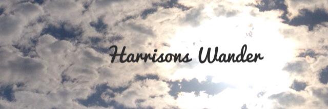Harrisonswander's profile banner image