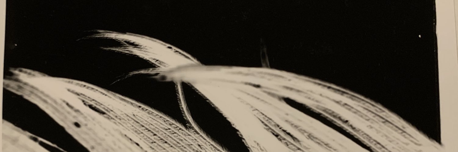 eileen_teah's profile banner image