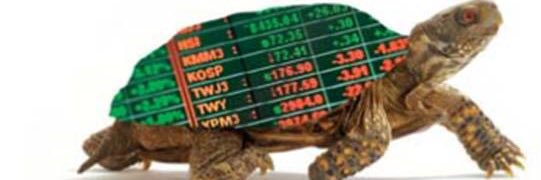 TuLtle (Cebolinha do Master) 💰🐢🍷🇧🇷 🇮🇱💸 banner