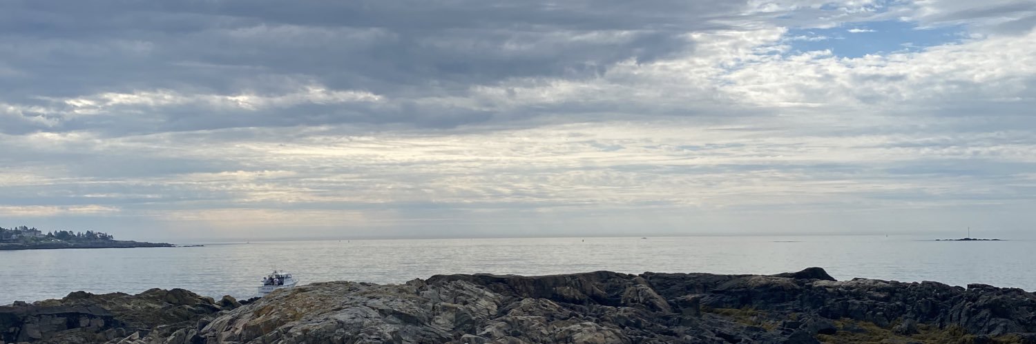 izzylobin's profile banner image