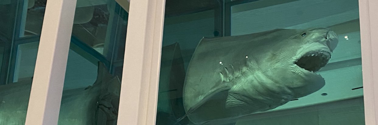 sarahispimp's profile banner image