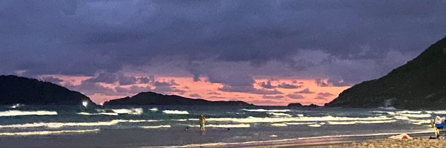 anapaularojjas's profile banner image