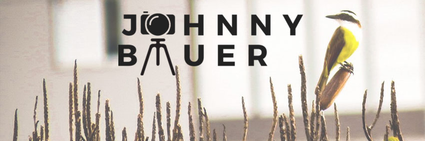johnnybauer_'s profile banner image