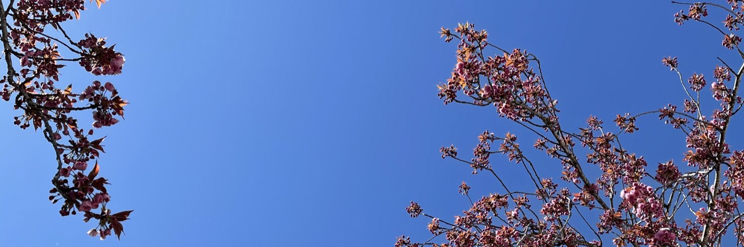 __jacobsalazar's profile banner image