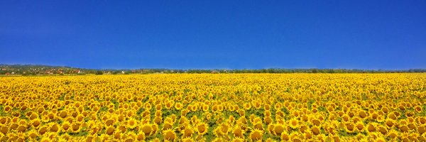 IsaacLarrier Profile Banner