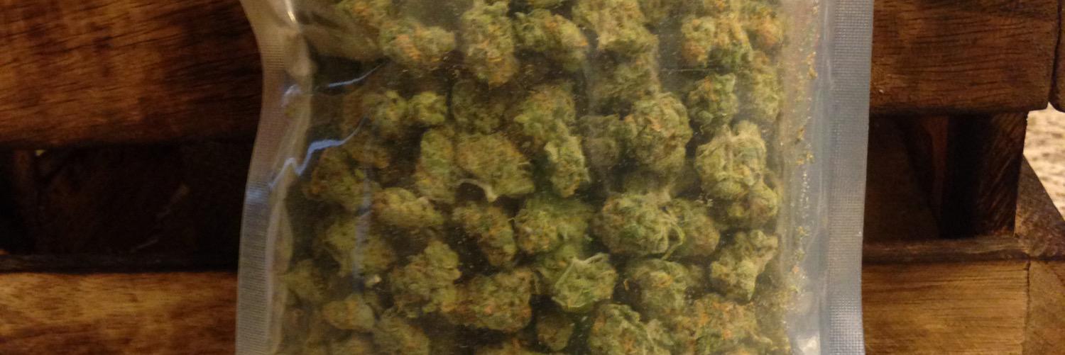 weedfemale's profile banner image