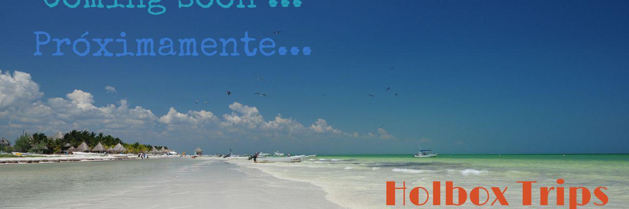 holboxtrips's profile banner image