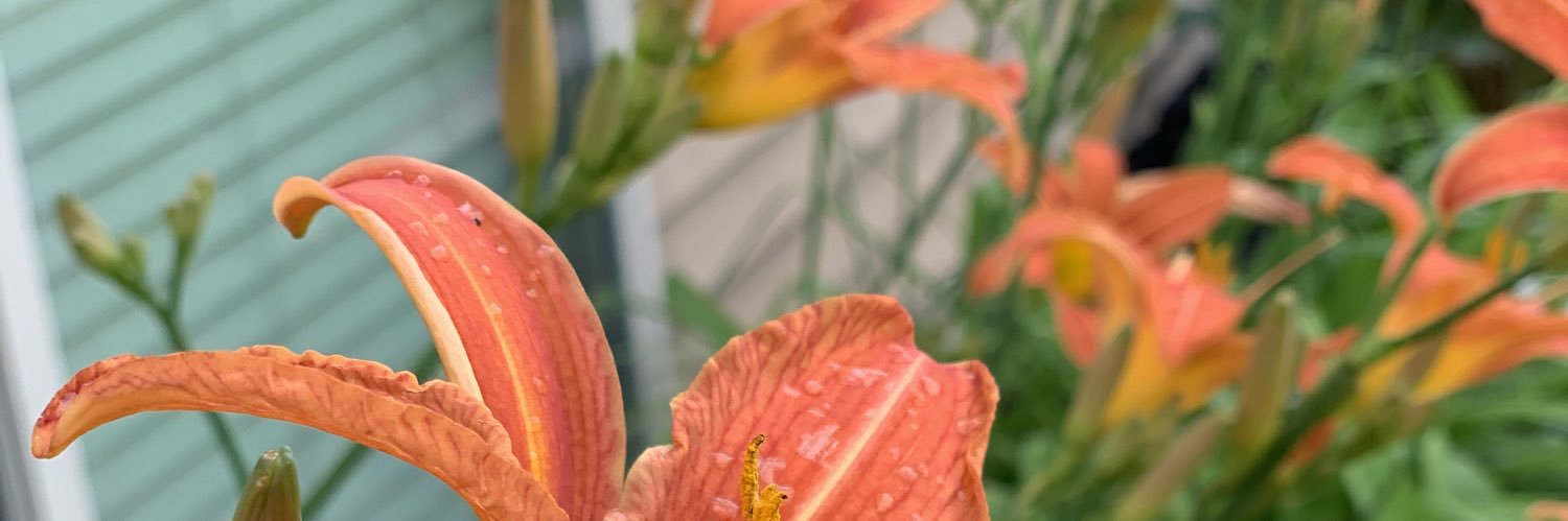 dcmmm's profile banner image