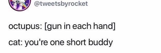 Xander Is Photography banner