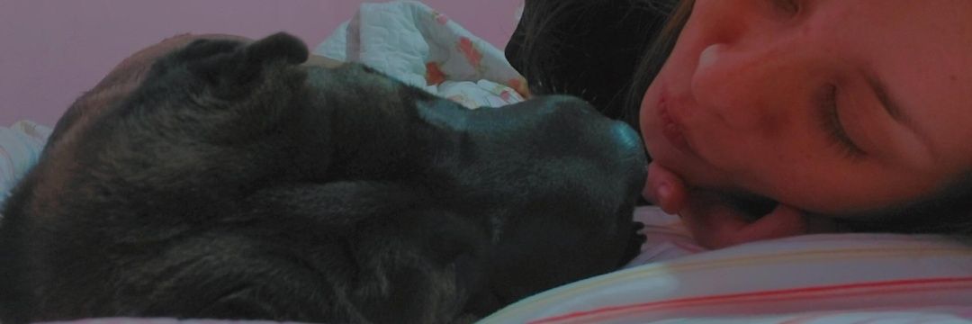 caamcontreras's profile banner image